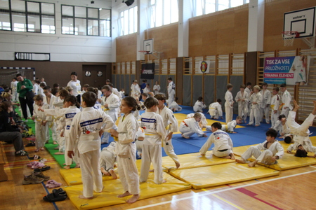 4. Kamniški judo panda turnir privabil mnogo gledalcev (1)